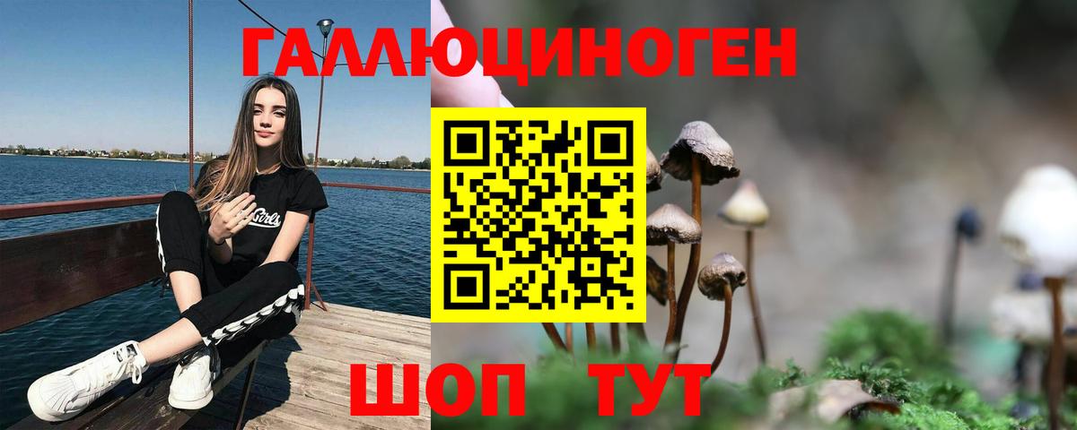 Луховицы  Псилоцибиновые грибы ЛСД  Вход с VPN  Псилоцибиновые грибы Cubensis 